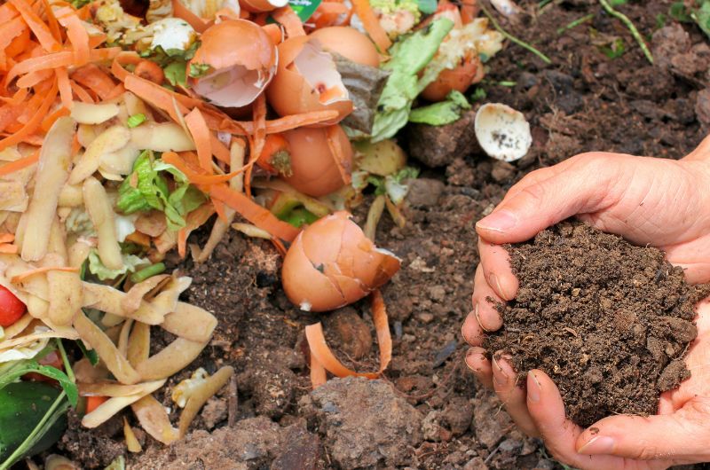 Gaspillage alimentaire à l'étape de la production agricole [Origines, Explications & Solutions]