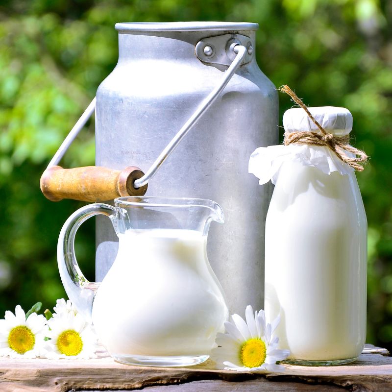 Les erreurs courantes à éviter lors de la conservation de votre lait !