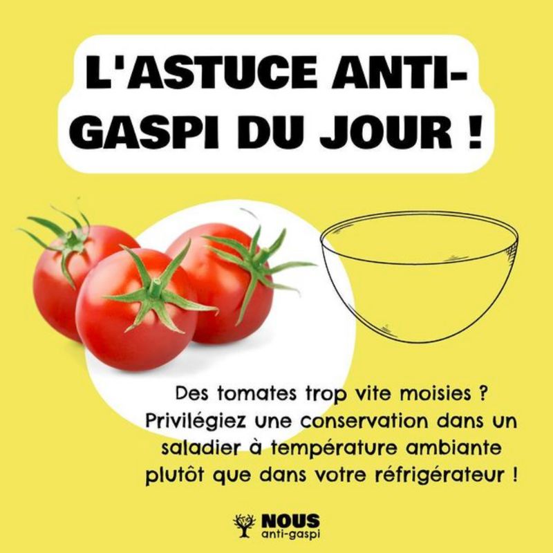 Les tomates dans un saladier