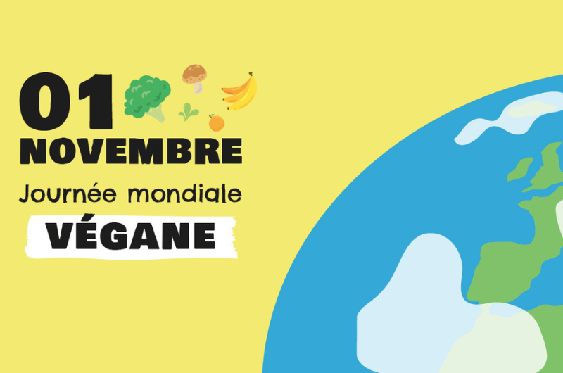 Journée Mondiale du Véganisme : 1er Novembre ! 🌱🥳