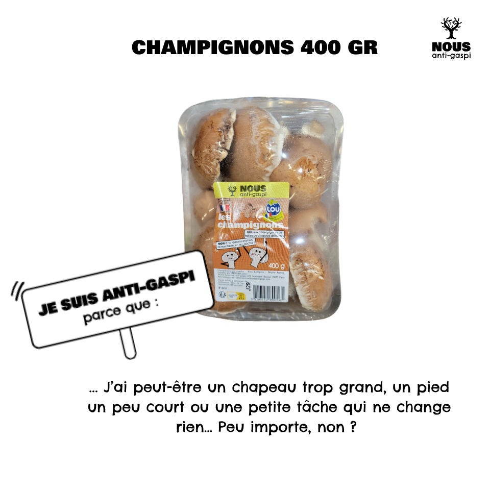 Champignons NOUS anit-gaspi (1)